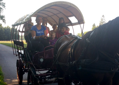 Laurence en cal&egrave;che pour la passion des chevaux
